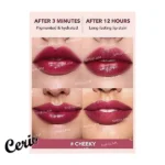 تینت لب شیگلم Cherry Picked SHEGLAM Take A Hint Lip Tint