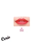 تینت لب گلدن رز 01 Golden Rose Juicy Tint