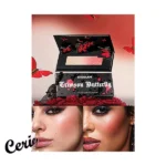رژگونه و هایلایتر پروانه ای شیگلم